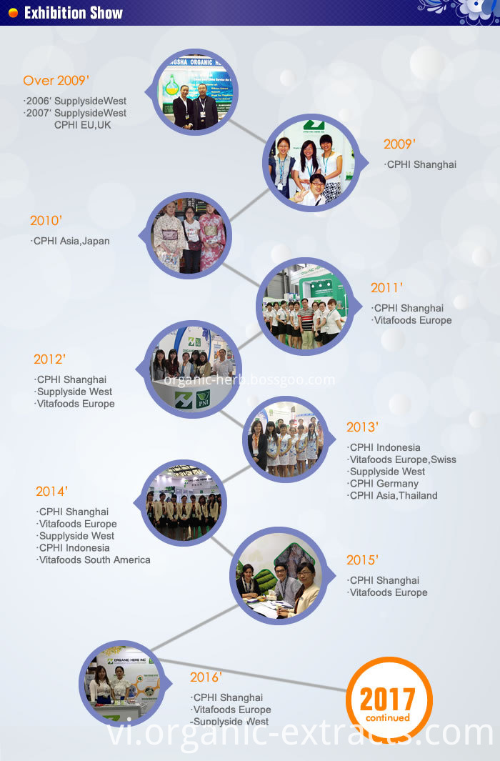 số 8 8